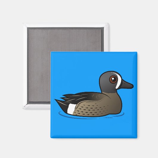 Blauflügelige Aquamarin Magnet (Vorderseite/Rückseite)