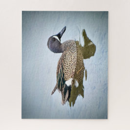 Blauflügelige Aquamarin Puzzle