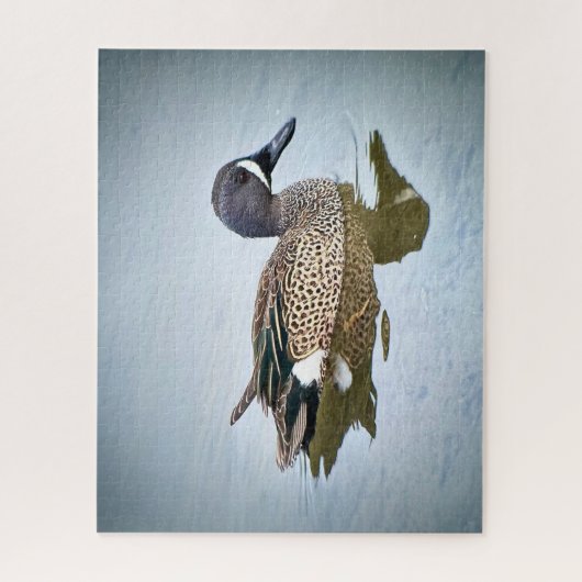 Blauflügelige Aquamarin Puzzle (Vertikal)