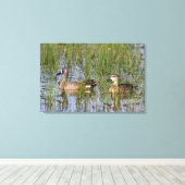 Blauflügelige Aquamarine Männer und Frauen in Feuc Leinwanddruck (Insitu (Holzboden))