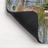 Blauflügelige Aquamarine Männer und Frauen in Feuc Mousepad (Ecke)