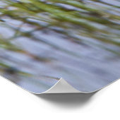 Blauflügelige Aquamarine Männer und Frauen in Feuc Poster (Ecke)