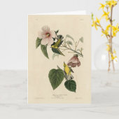 Blauflügelige Gelbe Warbler - Audubon Birds Amerik Karte (Gelbe Blume)