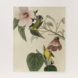 Blauflügelige Gelbe Warbler - Audubon Birds Amerik Puzzle