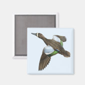 Blauflügeliges Aquamarines Magnet (Vorderseite/Rückseite)