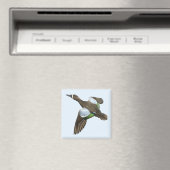 Blauflügeliges Aquamarines Magnet (In Situ (Geschirrspüler))