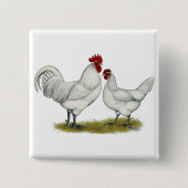 Blaufüßer Button (Vorderseite)