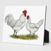 Blaufüßer Fotoplatte (Seite)