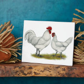 Blaufüßer Fotoplatte (Seite)