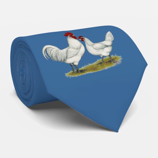 Blaufüßer Krawatte (Gerollt)