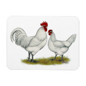 Blaufüßer Magnet (Horizontal)