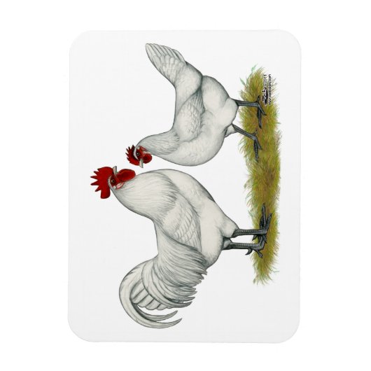 Blaufüßer Magnet (Vertikal)