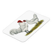 Blaufüßer Magnet (Linke Seite)