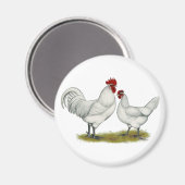 Blaufüßer Magnet (Vorderseite/Rückseite)