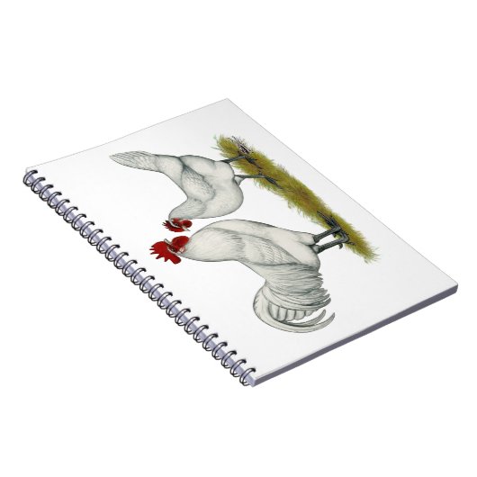 Blaufüßer Notizblock (Rechte Seite)