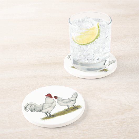 Blaufüßer Untersetzer (Seite)