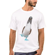 Blaufußtölpel