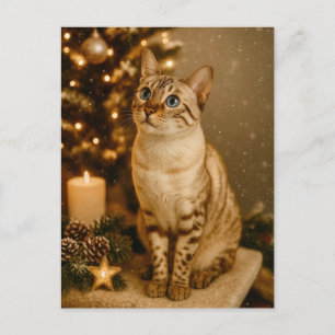 Blaugäugige Weihnachtskatze Cozy Holiday Postkarte