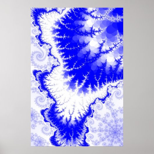 Blaugefiederter Sternposter Poster (Vorne)
