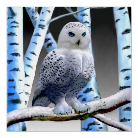 Blaugefrorener Schneeeule Poster (Vorderseite)