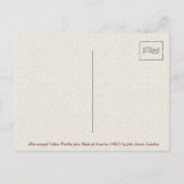 Blaugelber Gelbschwanz von Vögeln Amerikas Postkarte (Rückseite)