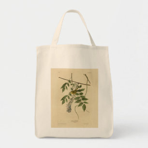 Blaugelber Warbler, Audubon Birds of America Tragetasche