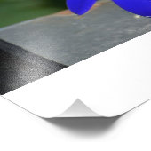Blaugemalte Gänseblümchen Fotodruck (Ecke)
