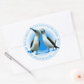 Blaugeschliffene Boobies Birds Stickers (Umschlag)