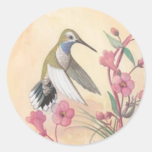 Blaugewurzelter Hummingvogel Runder Aufkleber (Vorderseite)