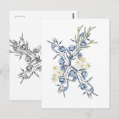 Blauglöckchen  postkarte (Vorne/Hinten)