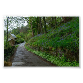 Blauglocken auf der Eastwood Lane Fotodruck
