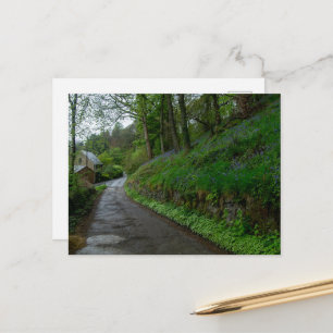 Blauglocken auf Eastwood Lane Postkarte