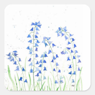 Blauglocken blaue Blumen Grün Botanik Quadratischer Aufkleber