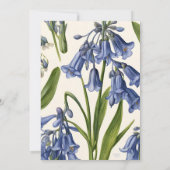 Blauglocken (Hasenglöckchen) Botanisches Muster Ei Einladung (Rückseite)