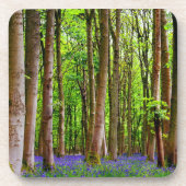 Blauglocken im Frühling Getränkeuntersetzer (Vorderseite)