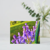 Blauglocken postkarte (Stehend Vorderseite)