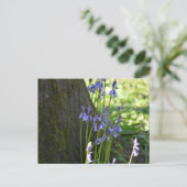 Blauglocken postkarte (Stehend Vorderseite)