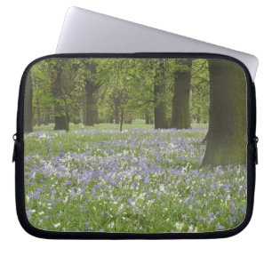 Blauglocken und Eichen im Frühling, Little Hagley Laptopschutzhülle