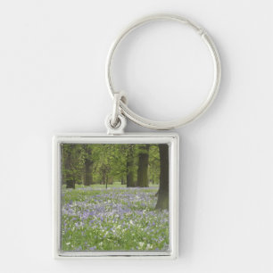 Blauglocken und Eichen im Frühling, Little Hagley Schlüsselanhänger
