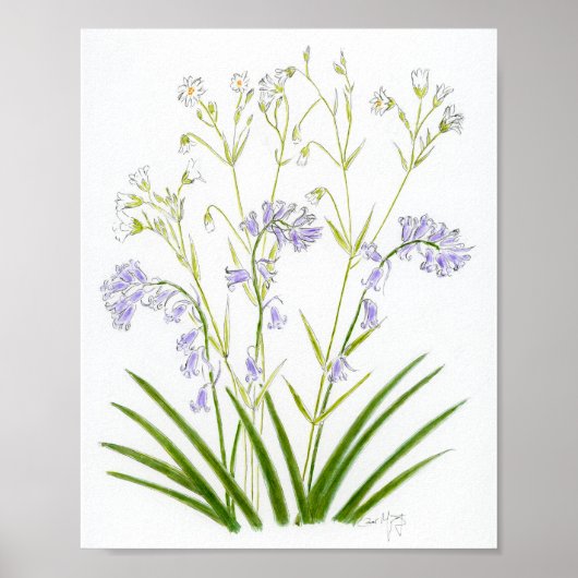 Blauglocken und Sternmiere Poster (Vorne)