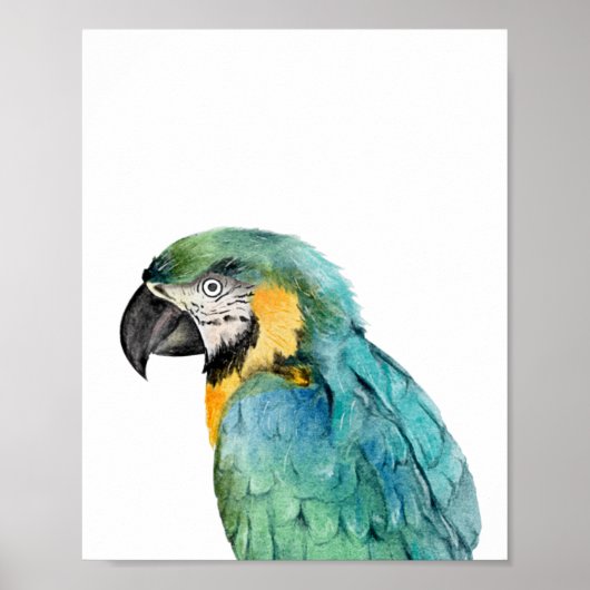 Blaugoldara Blauer Golddistel-Papagei Aquarell Poster (Vorne)