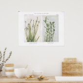 Blaugras und Bastard Toadflax mit Mit Augen Spitze Poster (Küche)