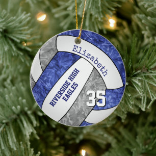 Blaugraue Entenvolleyballfarben Keramik Ornament