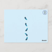 Blaugraue Gnatcatcher Backyard Bird Postkarte (Rückseite)