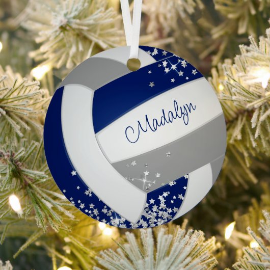 Blaugraue Mannschaftsfarben Volleyball mit Silbers Ornament Aus Metall (InSitu)