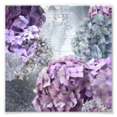 Blaugraue Vintage Hydrangea-Blume Fotodruck (Vorne)