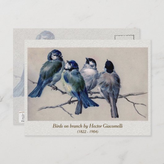 Blaugraue Vögel auf einem Zweig von Hector Giacome Postkarte (Vorne/Hinten)