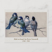 Blaugraue Vögel auf einem Zweig von Hector Giacome Postkarte (Vorderseite)