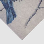 Blaugraue Vögel auf einem Zweig von Hector Giacome Seidenpapier (Detail)
