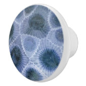 Blaugrauer Petoskey-Stein Keramikknauf (Rechts)